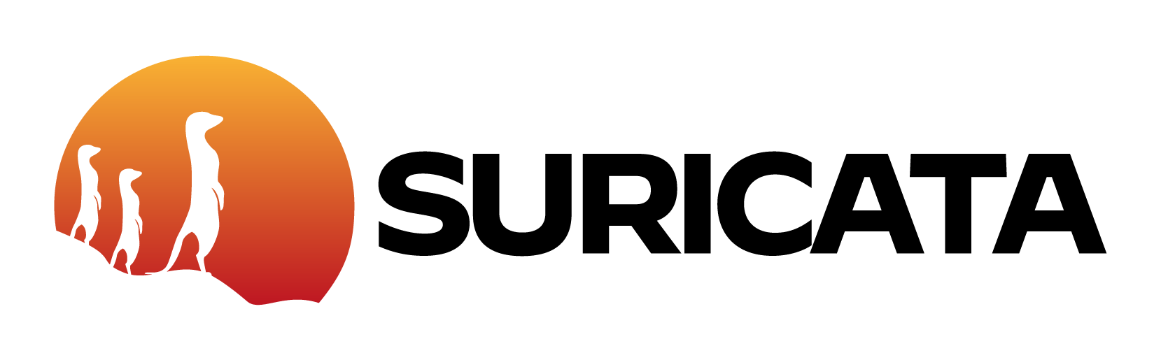 portfolio-image
